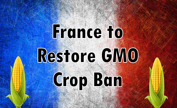 France gmo ban