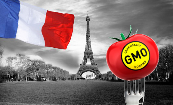 GMO France