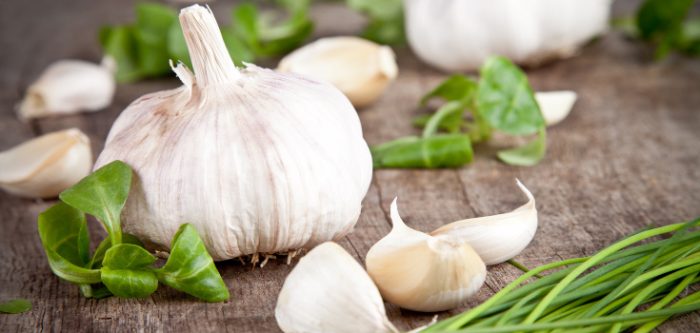 garlic