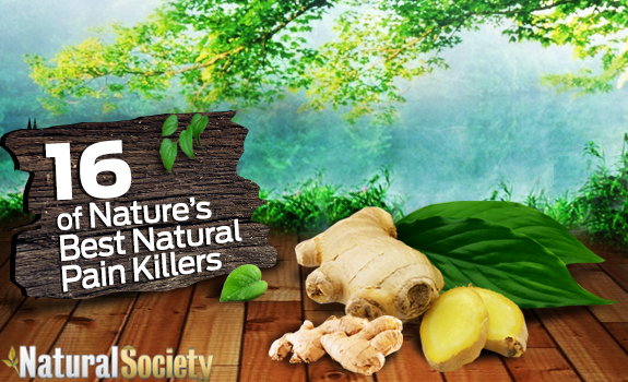 natural pain killers