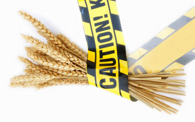 wheat