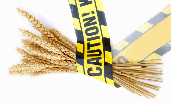 wheat