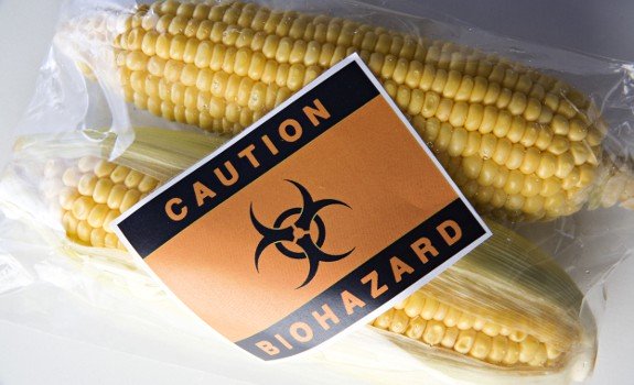 gmo-scientists