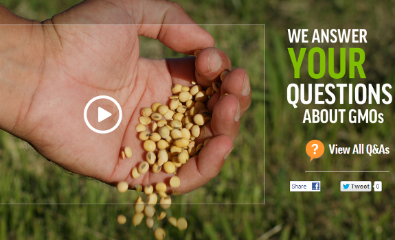 gmo answers