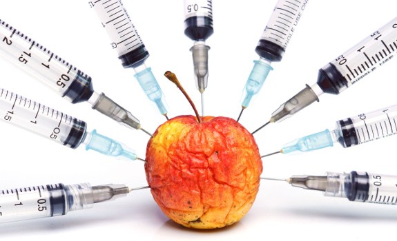 gmo apple