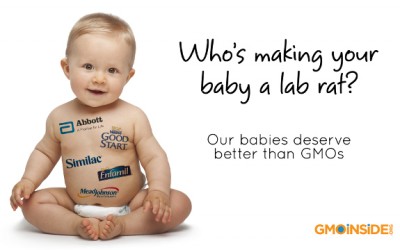 gmo baby formula