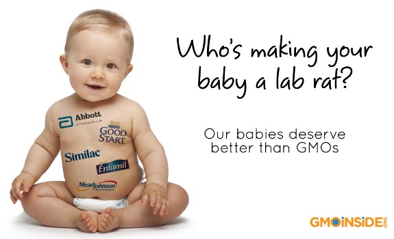 gmo baby formula