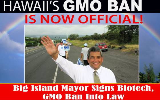 gmo ban