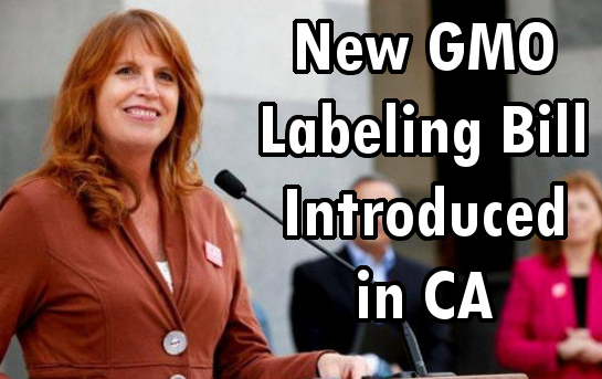 CA gmo labeling bill