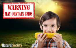 kid eating gmo corn