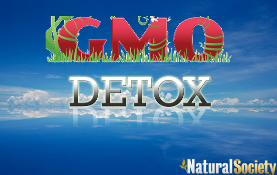 gmo detox