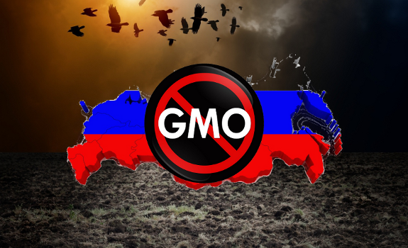Russia GMO