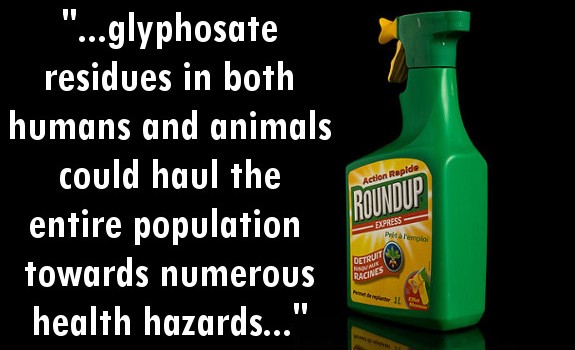 roundup