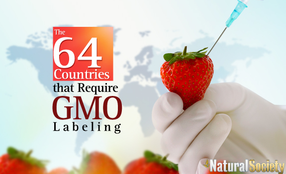 gmo labeling