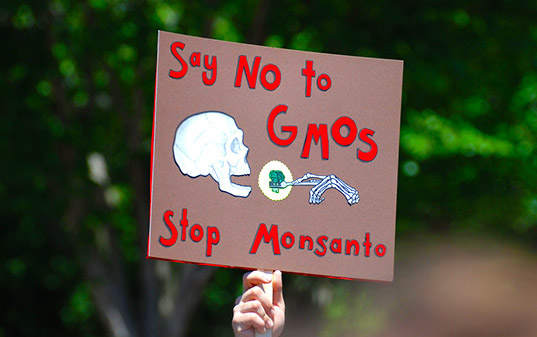 gmo labling