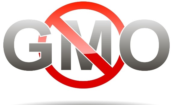 no GMO