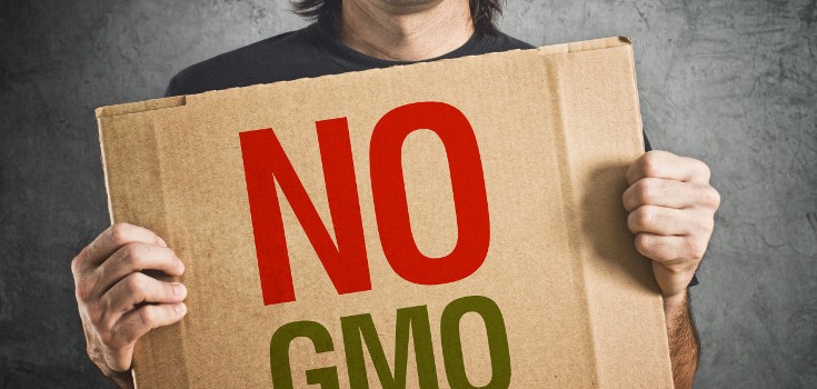 no gmo