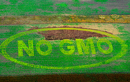no gmo