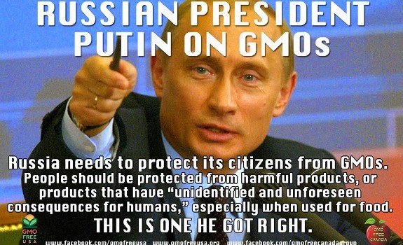 Russia GMOs