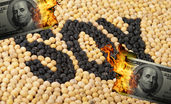 soybeans