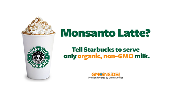 starbucks gmo