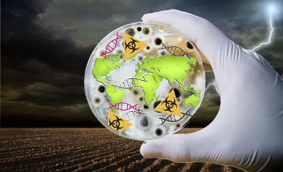 transgene escape