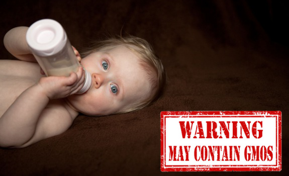 gmo baby formula