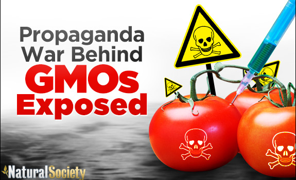 gmo war