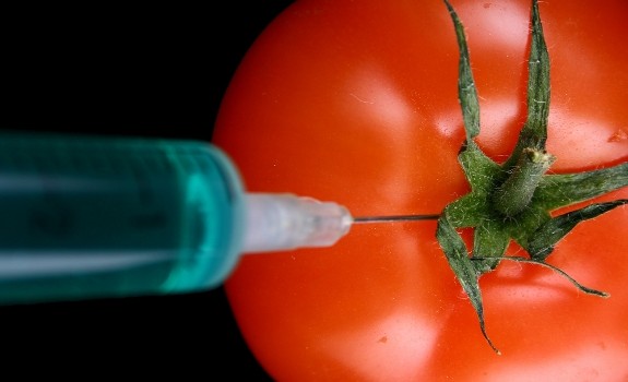 tomato being injected