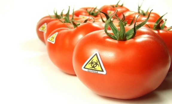 tomatoes