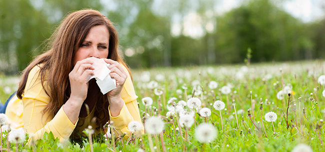 Grass Pollen allergies
