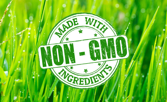 gmo grass