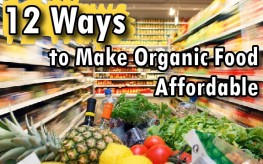 grocery_store_shopping_organic_costs