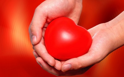 heart in hands