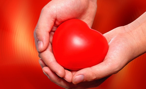 heart in hands