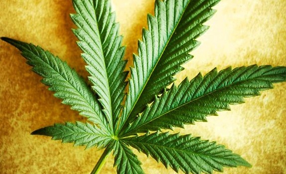 hemp