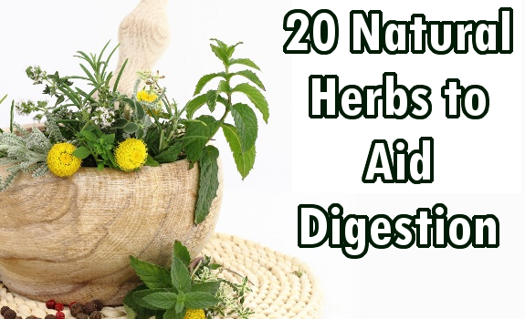 20 Natural Herbs To Aid Digestion