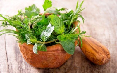 herbal healing