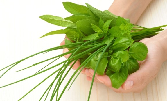basil and herbs