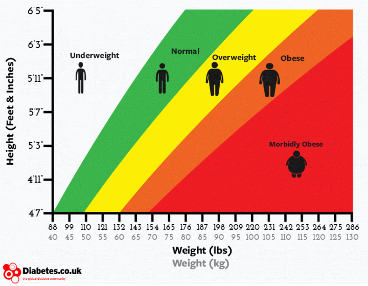 The BMI Chart is Antiquated and Misleading, Scientists Say