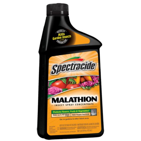 image-Malathion-Insecticides-Have-Possible-Carcinogenic