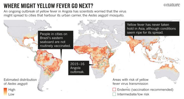 image-nature-yellow-fever-news-map-040216-online