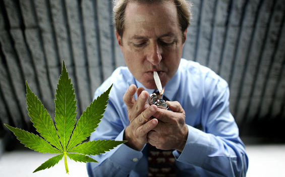 irvin rosenfeld marijuana