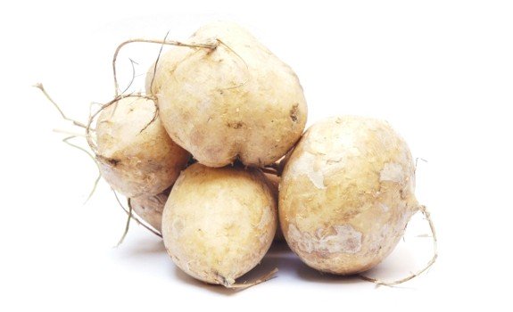 jicama