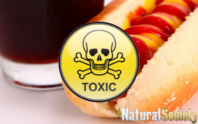 toxic junk food