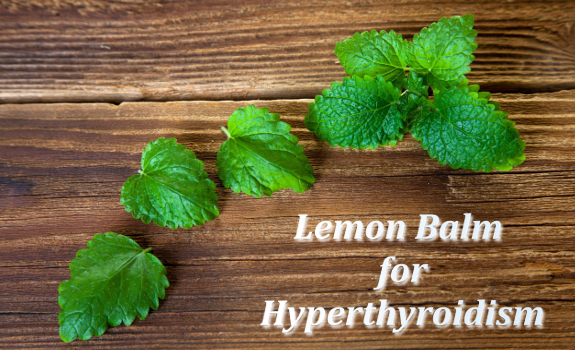 lemon balm