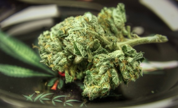 marijuana bud