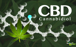 cannabidiol