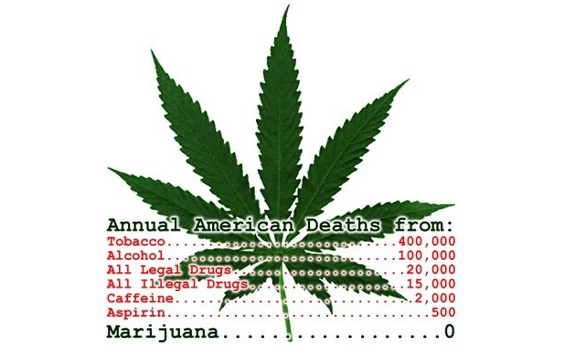 marijuana deaths