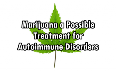 marijuana disease